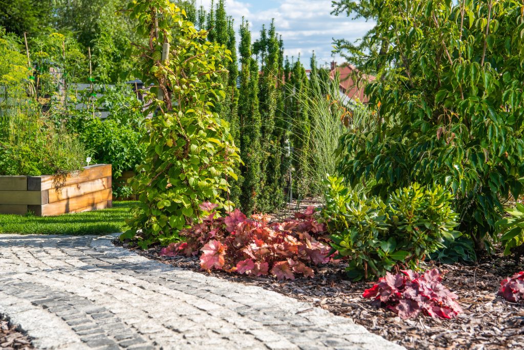 Professional Landscape Design That Adds Home Value